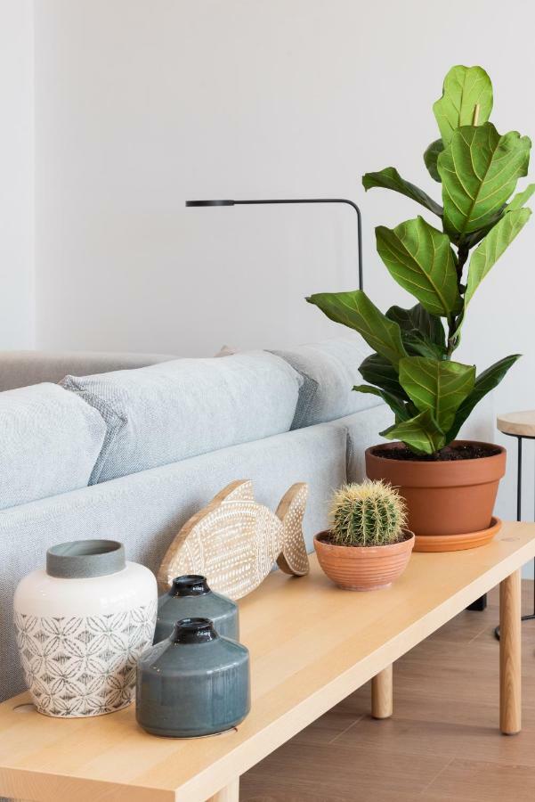 Petit Luxe L'Atic Lejlighed Terrassa Eksteriør billede
